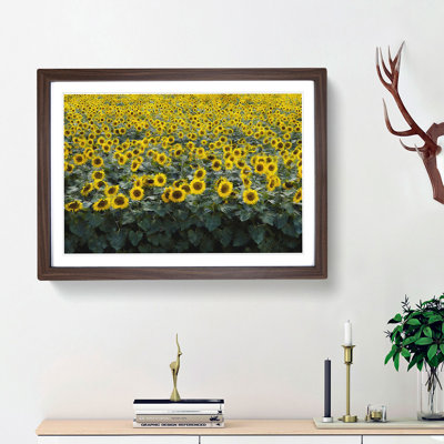 Field of Yellow Sunflowers - Picture Frame Graphic Art Print