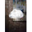 Floor Standing Lampshade Cloud