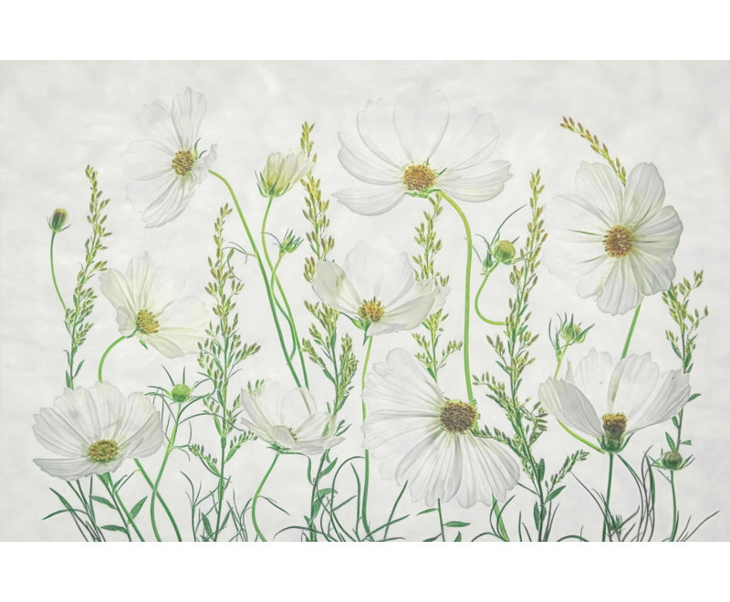 Wrapped Canvas Print, 50.8 cm H x 76.2 cm W