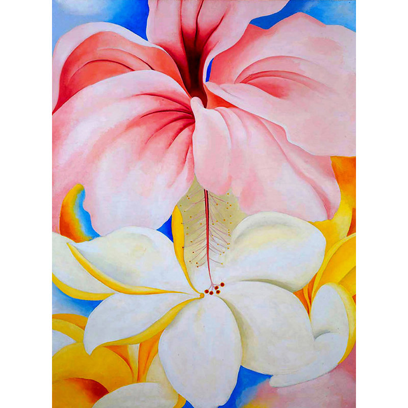 Hibiscus avec plumeria