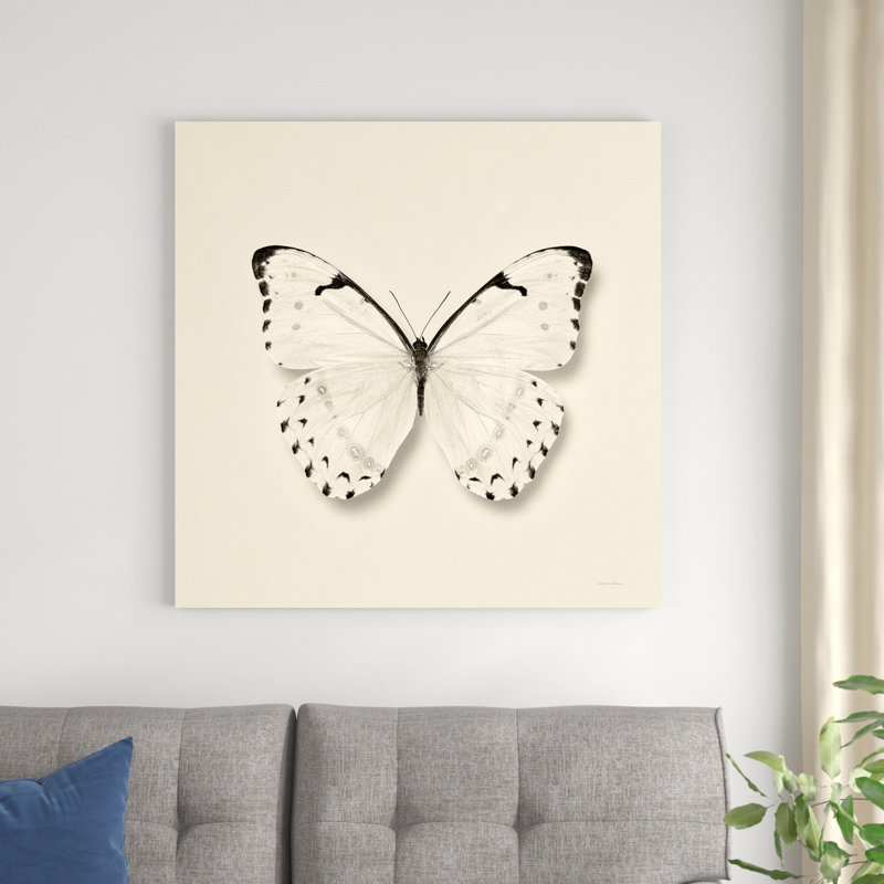 Papillon II BW, H 36 po x l 36 po x P 1,25 po