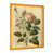 Impression dorée sur toile encadrée
