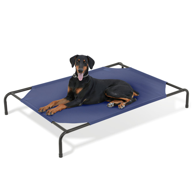 Small Navy Blue Elevated Outdoor Dog Bed with Steel Frame