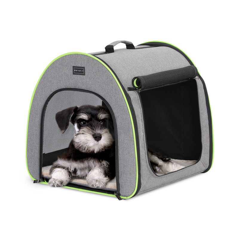 Collapsible Soft-Sided Crate with 2 Doors, Small (20"H x 19.5"W x 20"D)