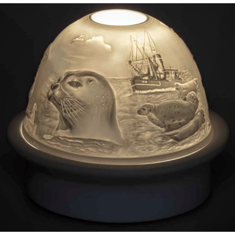 Otter In The Sea   Dome Light