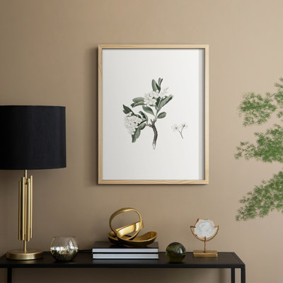 Vintage Floral Print CLXXXV Framed Print - Solid Wood