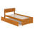Orlando Solid Wood Platform Bed with Panel Footboard & Trundle-96140340