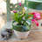 Viva Garden Reactive Cachepot-119182255-119182253