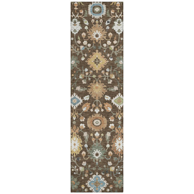 Machine Washable Indoor/Outdoor Chantille ACN2458 Traditional Rug