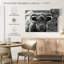 Vache Highland monochrome-601479756-601479751