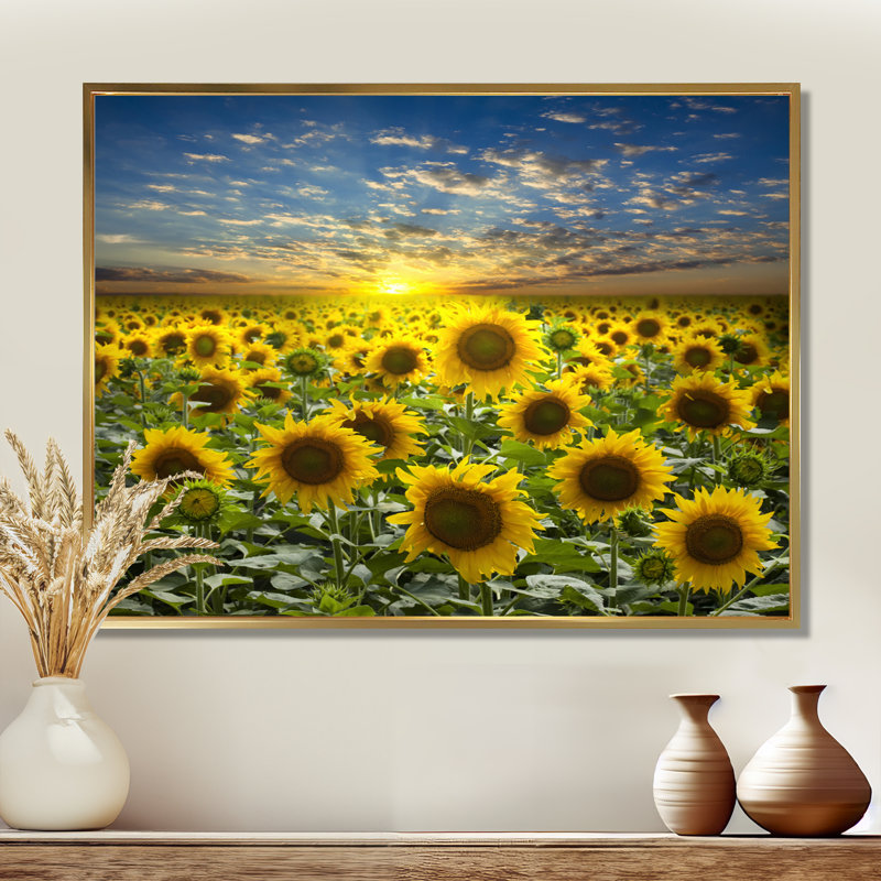 Champ de tournesols en fleurs - reproduction d'art sur bois massif, Cadre flottant, H 24 po x l 32 po, Doré
