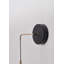 Tescott Iron LED Armed Sconce
