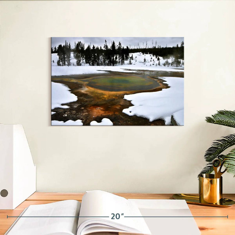 Alvord Yellowstone Winter Geyser, H 8 po x l 12 po