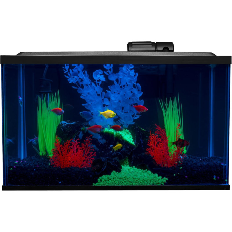 Ensemble d'aquarium de 10 gallons avec éclairage à DEL et décor (exclusivité Amazon)