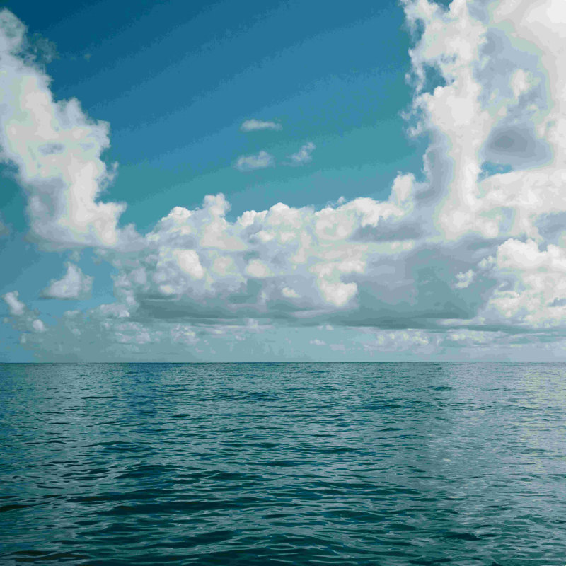 «Hawaiian Ocean View», impression sur toile tendue, H 18 po x l 12 po, Non, Toile tendue