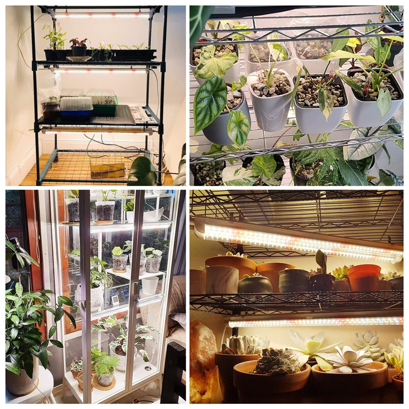 YHSNFJING Grow Light