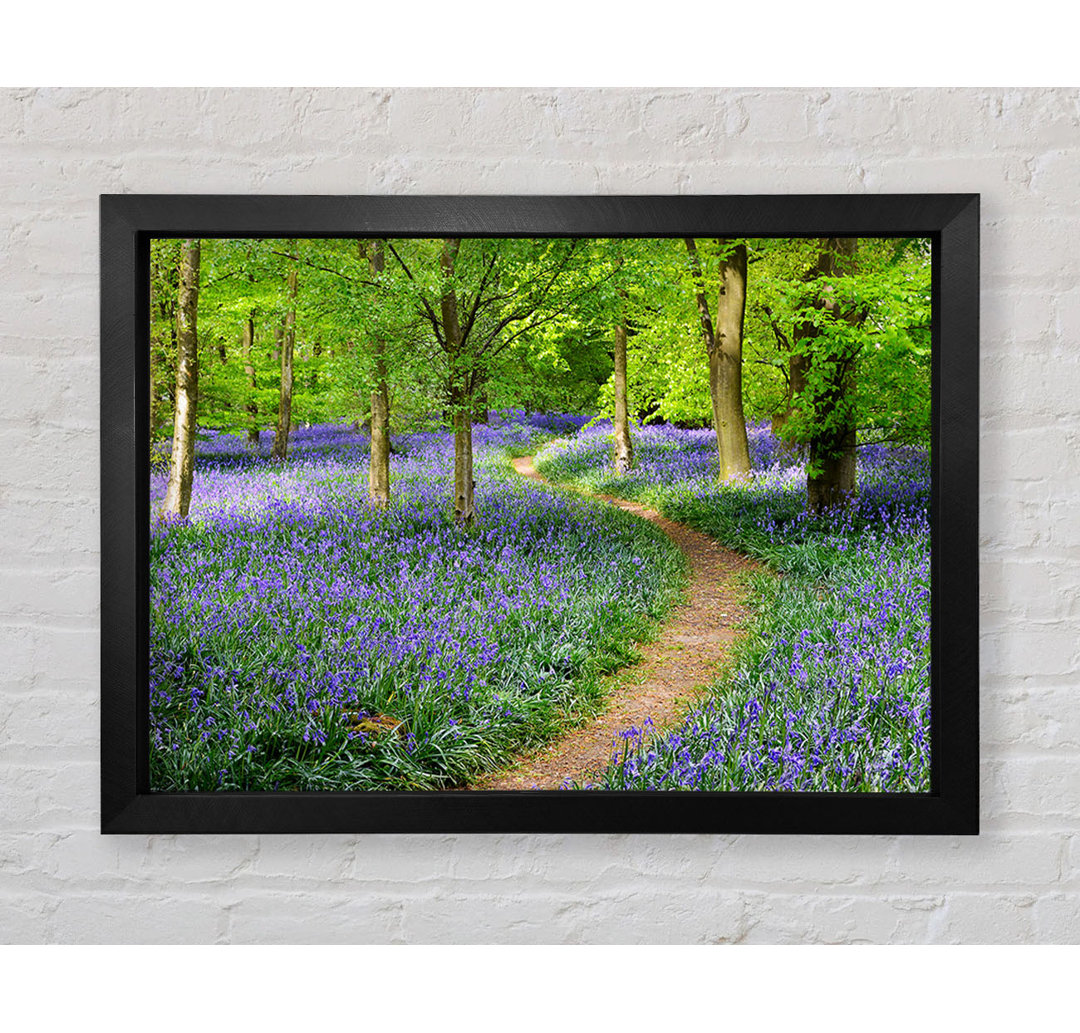 Spaziergang durch den Bluebell Path Gerahmter Druck