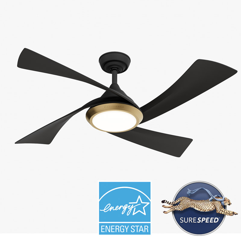 Vespucci 52'' Ceiling Fan with LED Lights, Matte Black