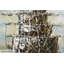 Acrylbild Ahoi Piratenschiff