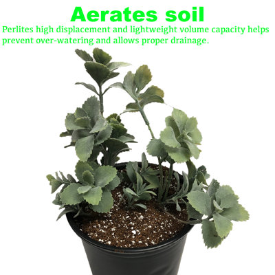 4 Cubic Foot Bag of Perlite