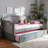 Eugonda Upholstered Daybed with Trundle Bed-1031596187