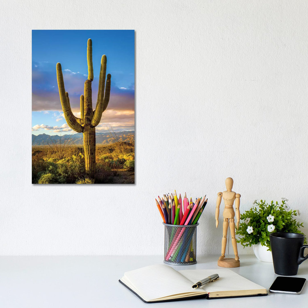 Sonnenuntergang Saguaro National Park Ost III von Susanne Kremer - Galerie-verpackte Leinwand Giclée auf Leinwand