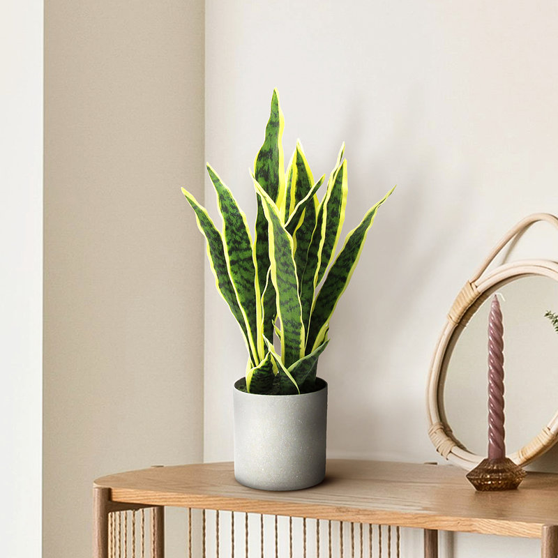Plante de serpent artificielle Sansevieria en pot, H 18 po x l 9 po x P 6 po
