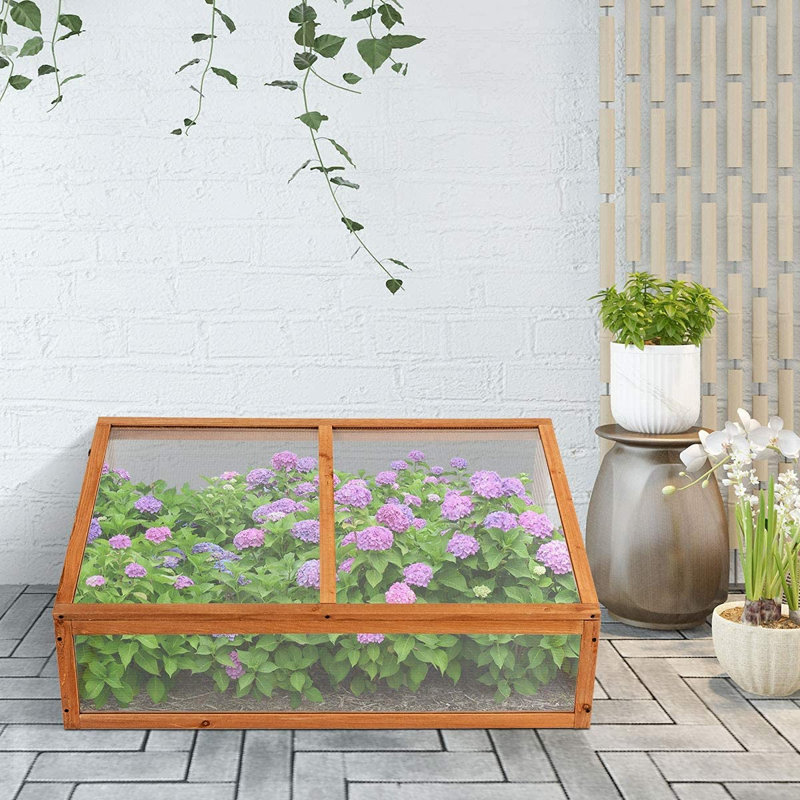 Wansley 3.2 Ft W x 0.8 Ft D Mini Greenhouse