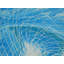 «Neutron» par Will Birdwell - Peinture-65853057-132467289