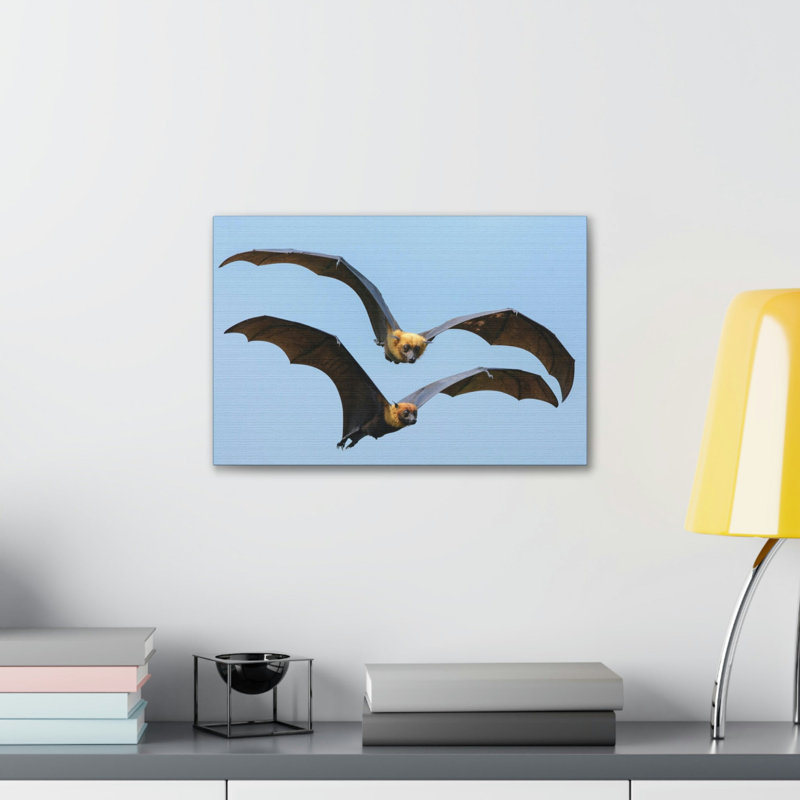 «Vampire Bat Couple», art mural animalier, H 11 po x l 14 po