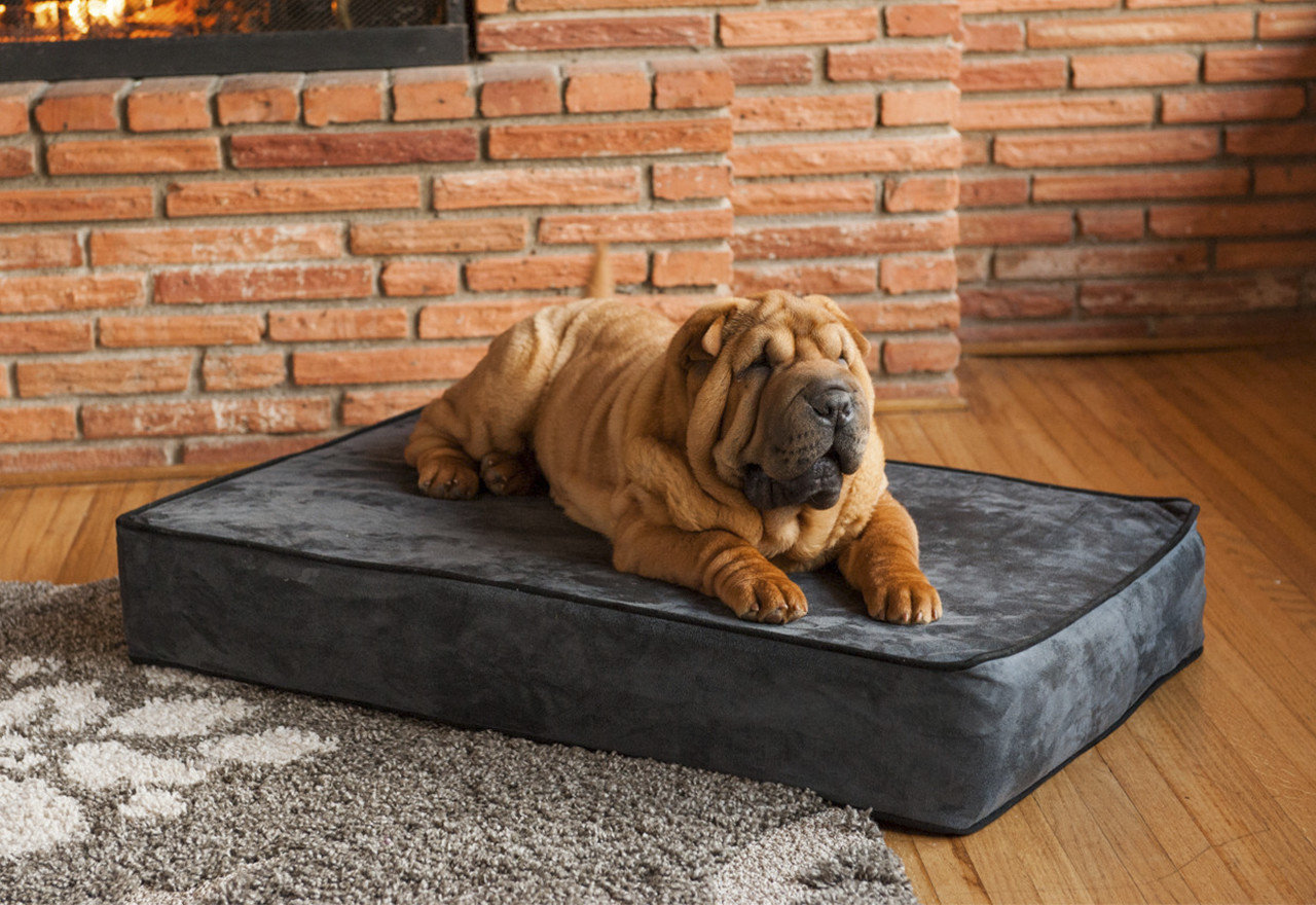 Doggie Dreamland PupApproved Beds 2024 Wayfair