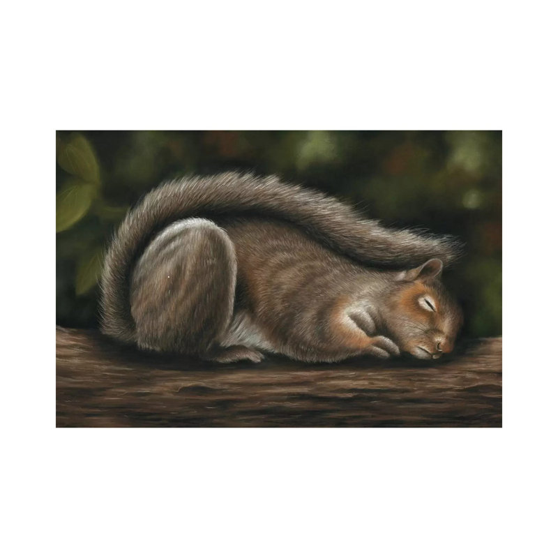 Squirrel by Richard Macwee - Wrapped Canvas Painting, 20.32 cm H x 30.48 cm W