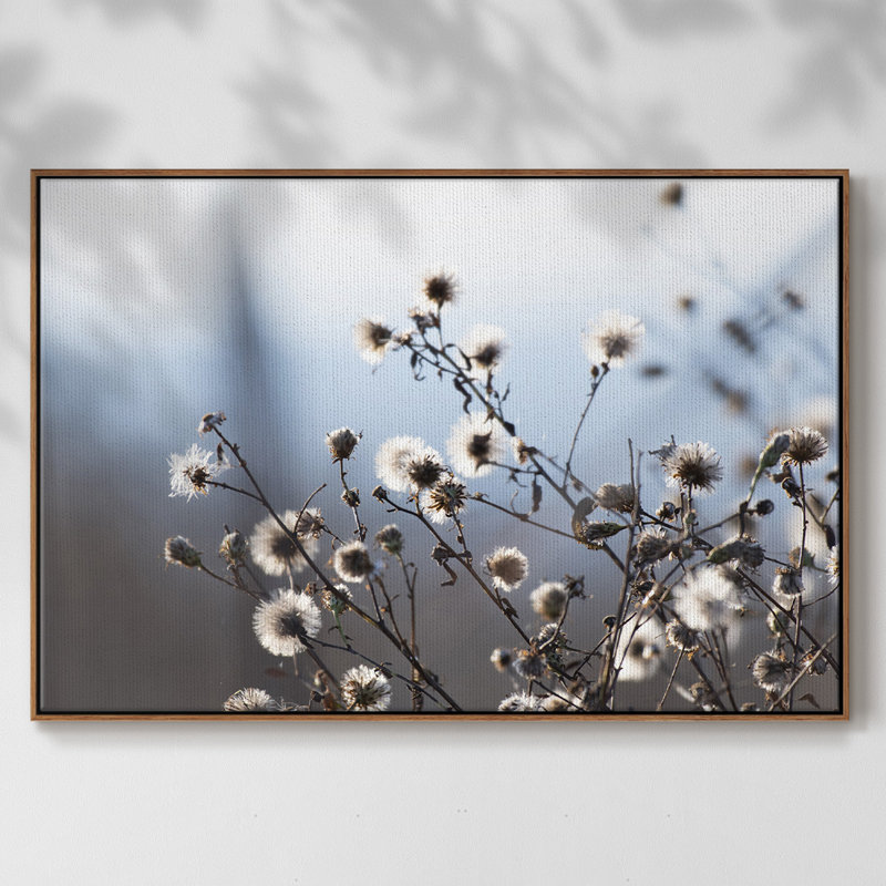 «Spring Fluff», reproduction sur toile, Noyer, H 25 po x l 37 po x P 2 po