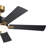 56'' Ceiling Fan with LED Lights-1440502492