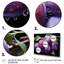 «Dusky Lavender Plum Delight II», art mural fruits-1473805962