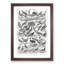 Ornithology Study of Birds LXX by Oliver Goldsmith - Picture Frame Drawing Print-55733944-55733945