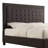Londono Upholstered Platform Bed-244056405-244056407