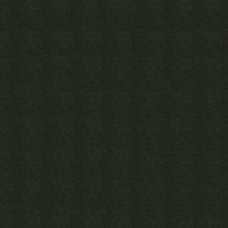 Tissu Rogue, Noir
