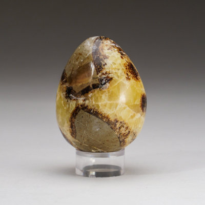 Œuf polaire septarien de Madagascar (175,6 grammes)