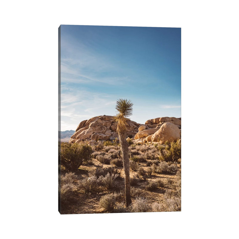 Joshua Tree National Park XVII by Bethany Young - Print on Canvas, 66.04cm H x 45.72cm W x 3.81cm D, Wrapped Canvas