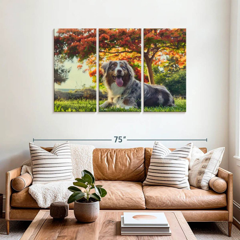 Brampt Cherry Border Collie, 36" H x 57" W