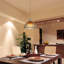 Farner 1 - Light Sliver Single Pendant