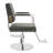 360° Rotating Adjustable Hair Salon Barber Chair-1106039818-1106039819