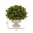 Cezalina Urn Planter