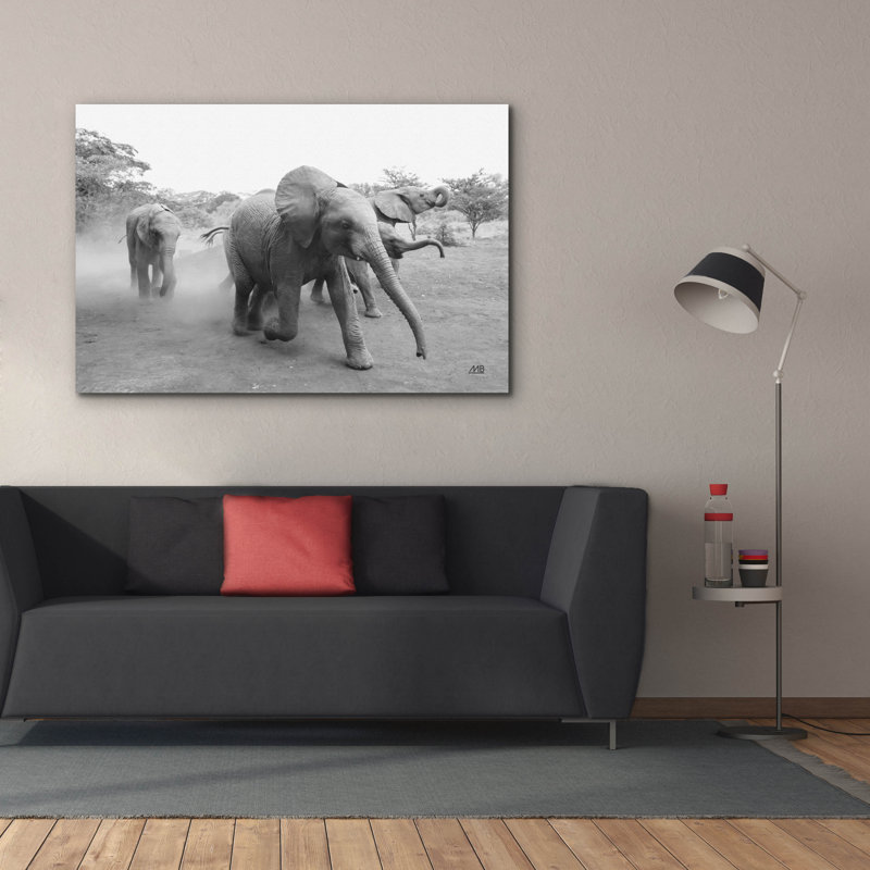 Toile épique Graffiti «Elephant Race Bw» par Max Blakesberg Studios, 60 po x 40 po, H 40 po x l 60 po