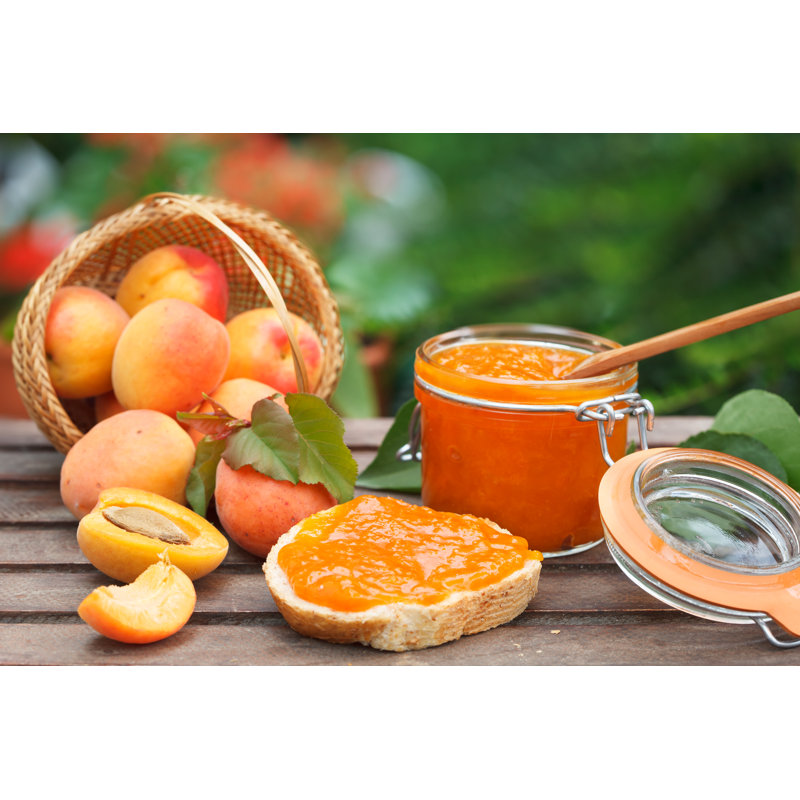 Bread And Apricot Jam by Meteo021 - Wrapped Canvas Print, 30cm H x 46cm W