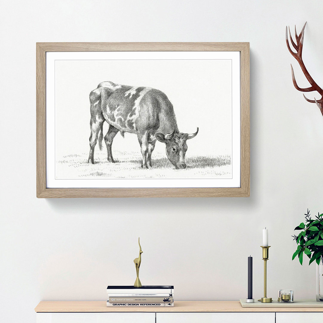 Grazing Bull by Jean Bernard - Picture Frame Drawing Print