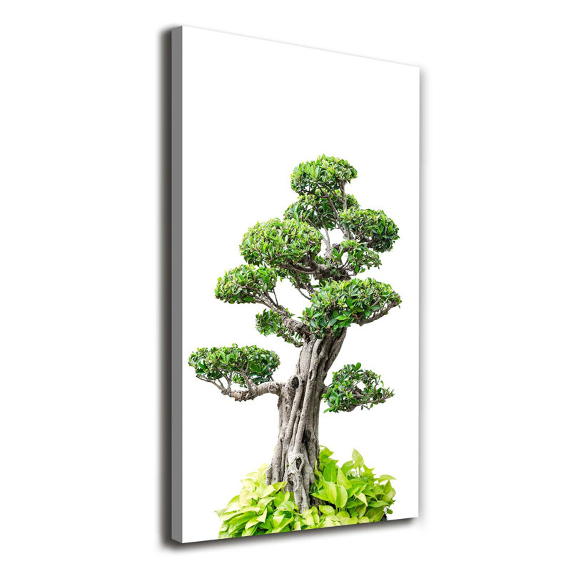 Bonsai Tree - Wrapped Canvas Print