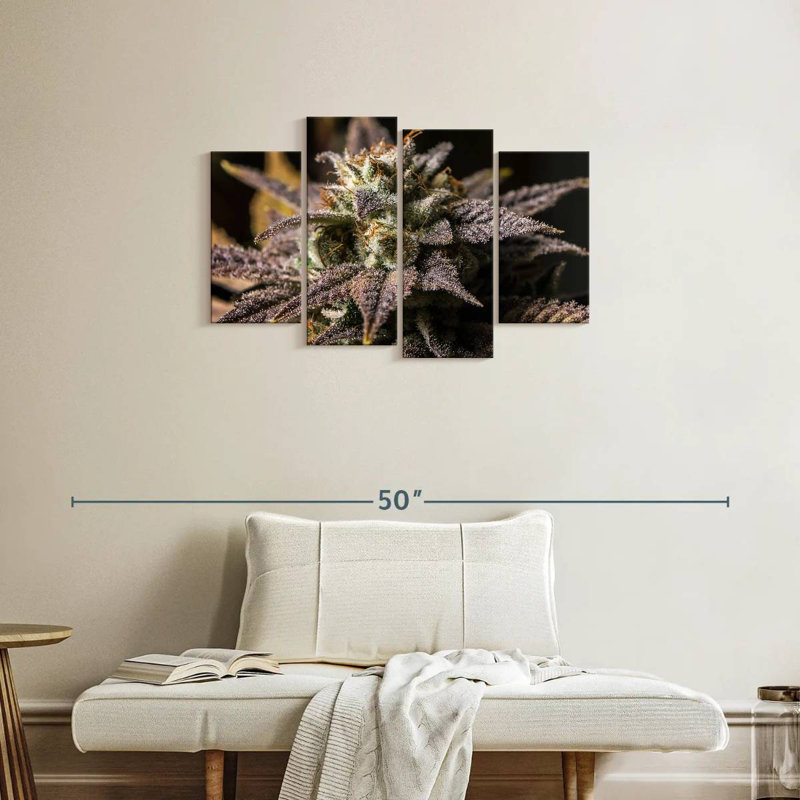 Marijuana In Winter, 22" H x 36" W