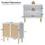 Armoire d'appoint en rotin 2 portes 31,5 po avec tablette intérieure fixe Bilal